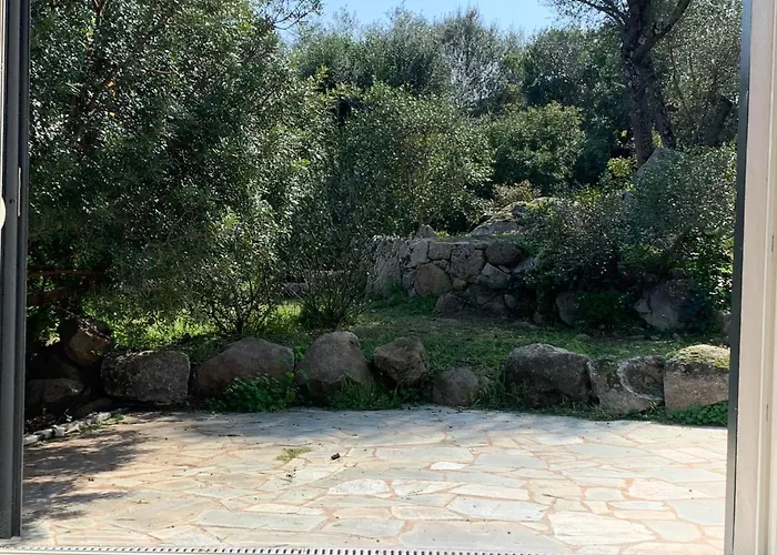 La Campagne Au Bord De La Tatil Evi *