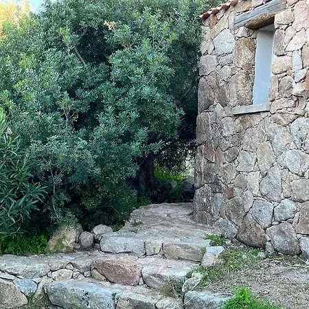 Semesterbostad La Campagne Au Bord De La Porto-Vecchio (Corsica)